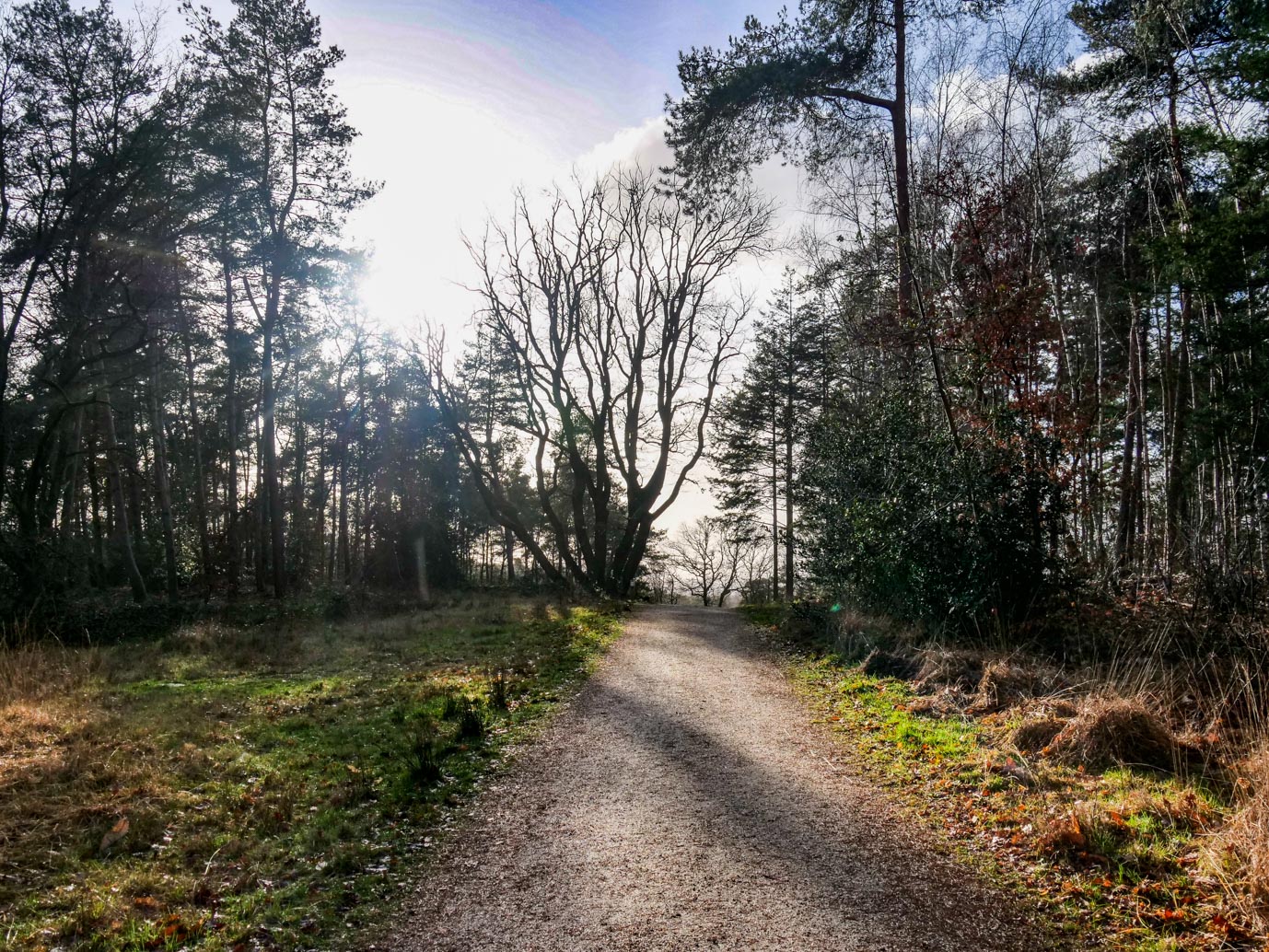 Molenhoek_Landgoedpad_Mookerheide_05-02-2023-18