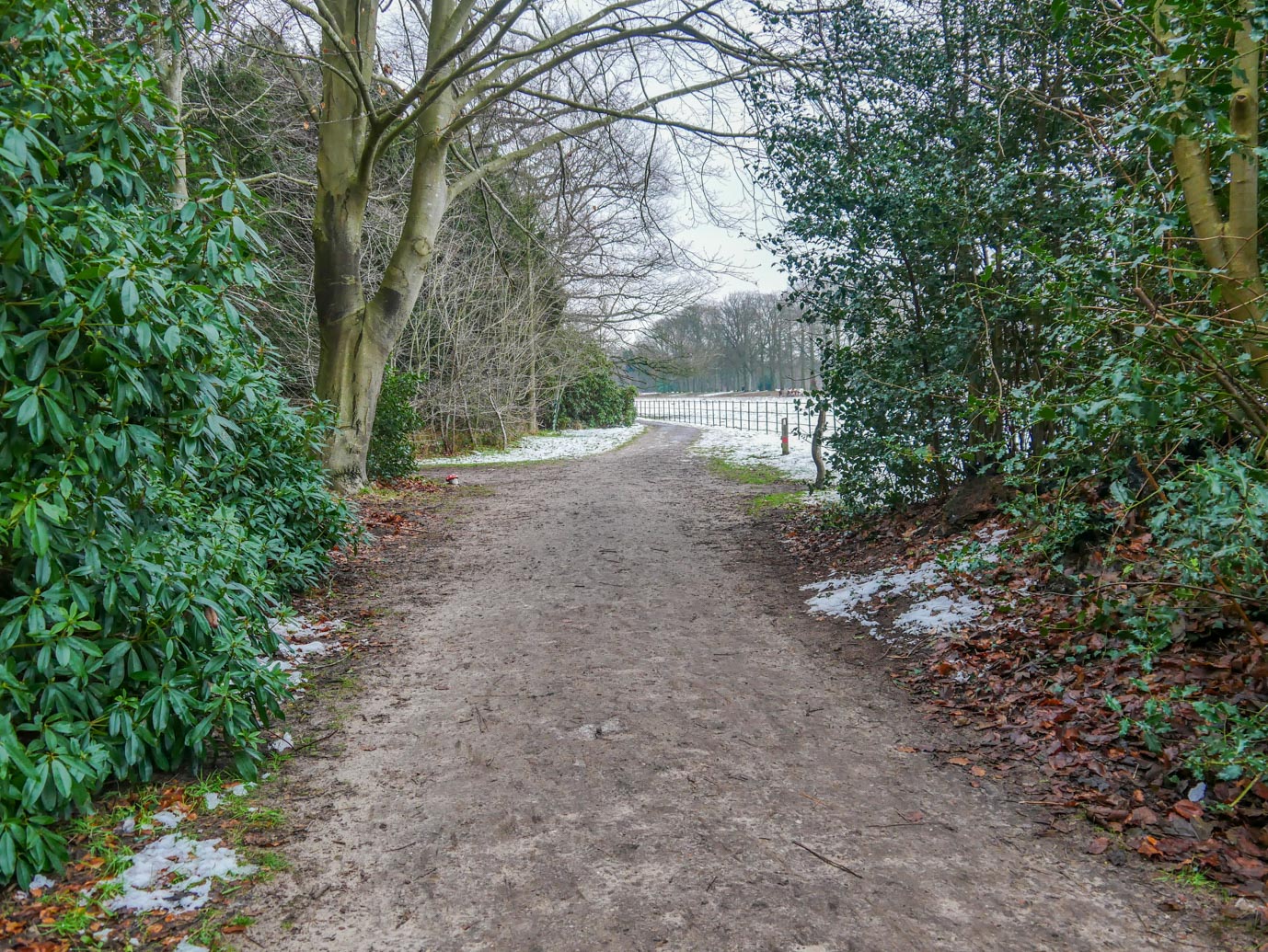 's-Graveland_Buitenplaats_Boekesteyn_22-01-2023-16