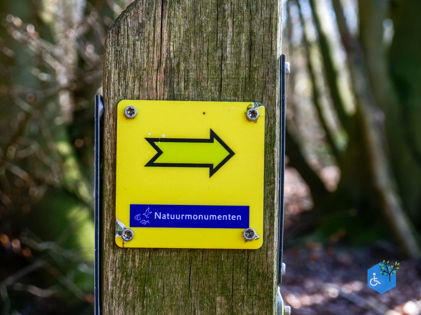 Beek_Bergherbos_05-04-2023-02