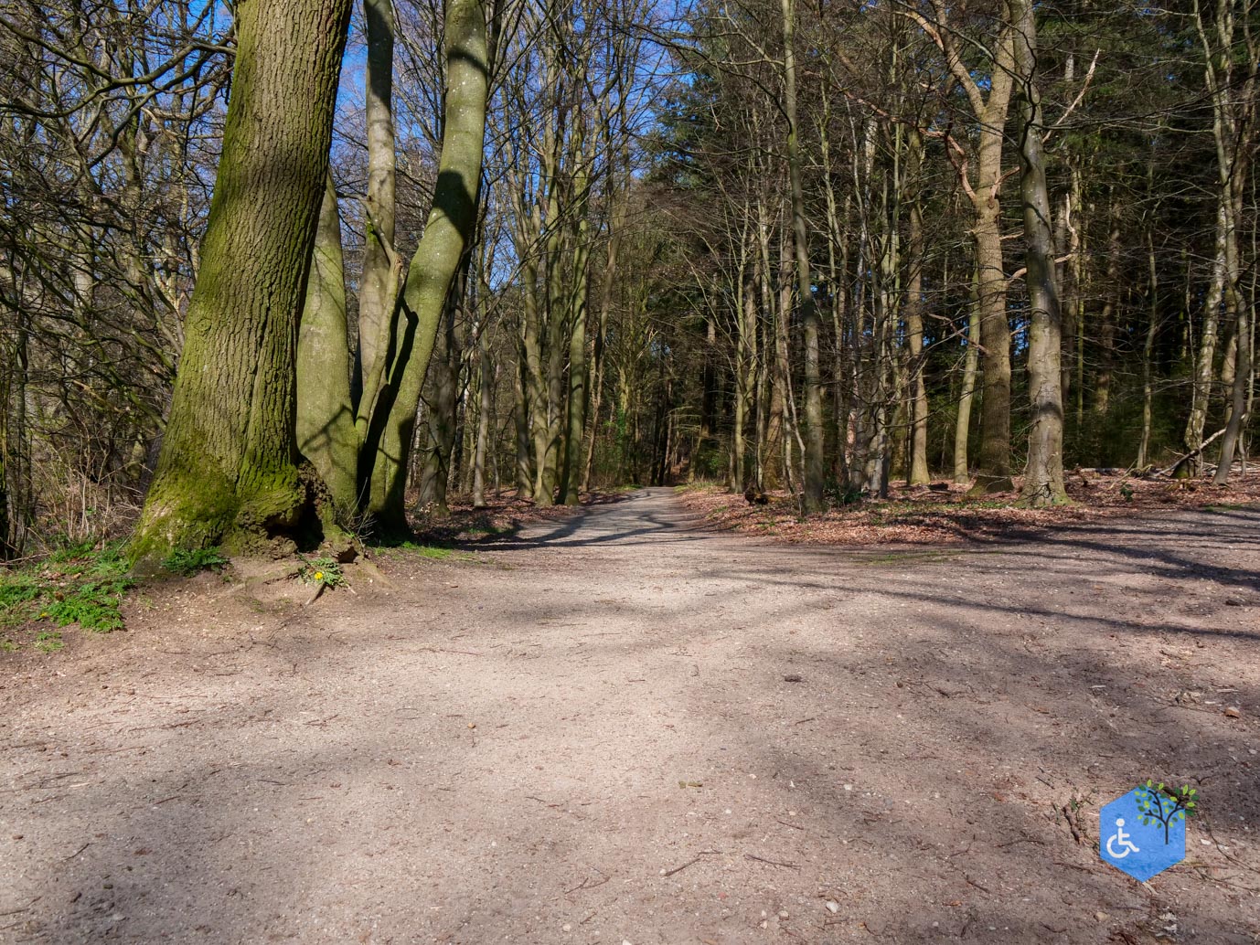 Beek_Bergherbos_05-04-2023-13