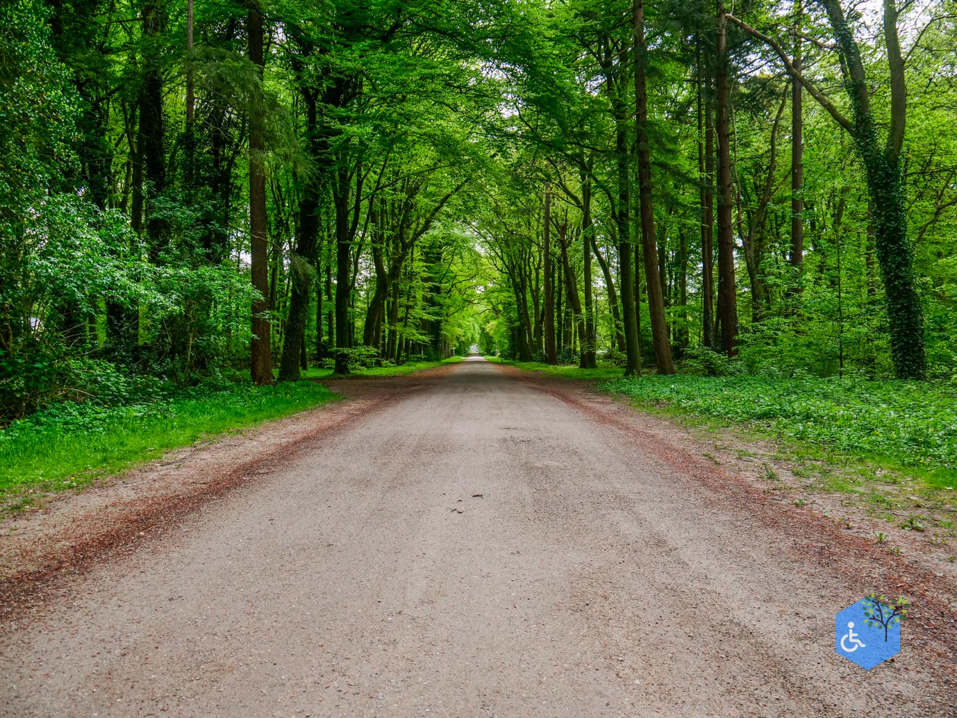 Doorn_Landgoed_Moersbergen_07-05-2023-03