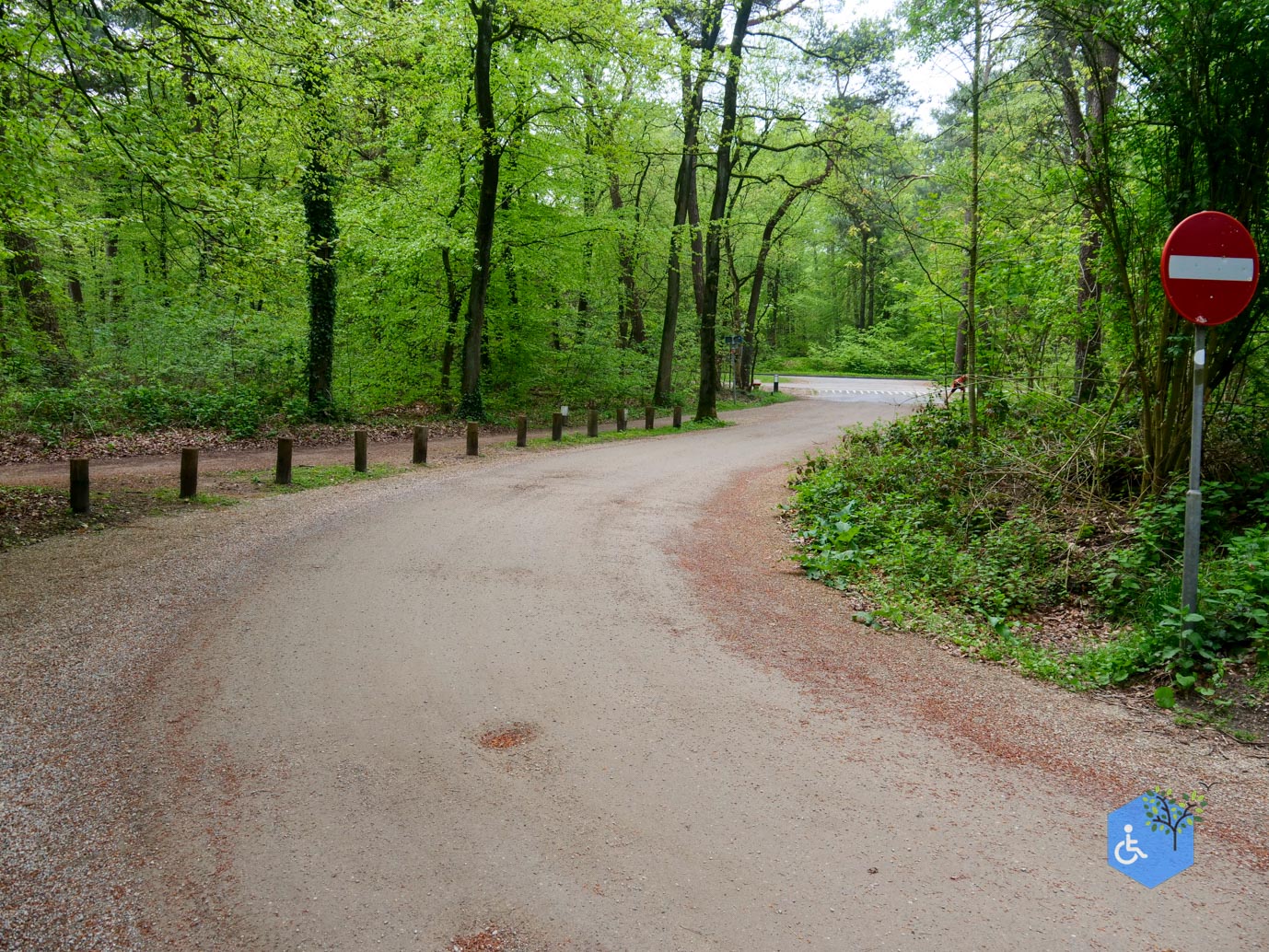 Driebergen_Heidetuin_07-05-2023-02