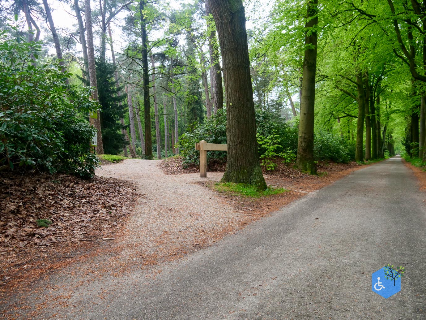 Driebergen_Heidetuin_07-05-2023-06