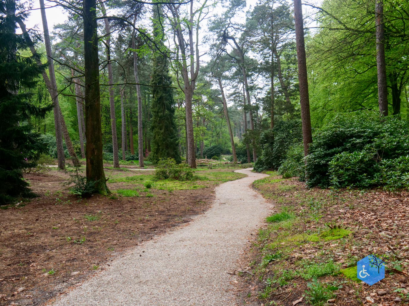 Driebergen_Heidetuin_07-05-2023-07