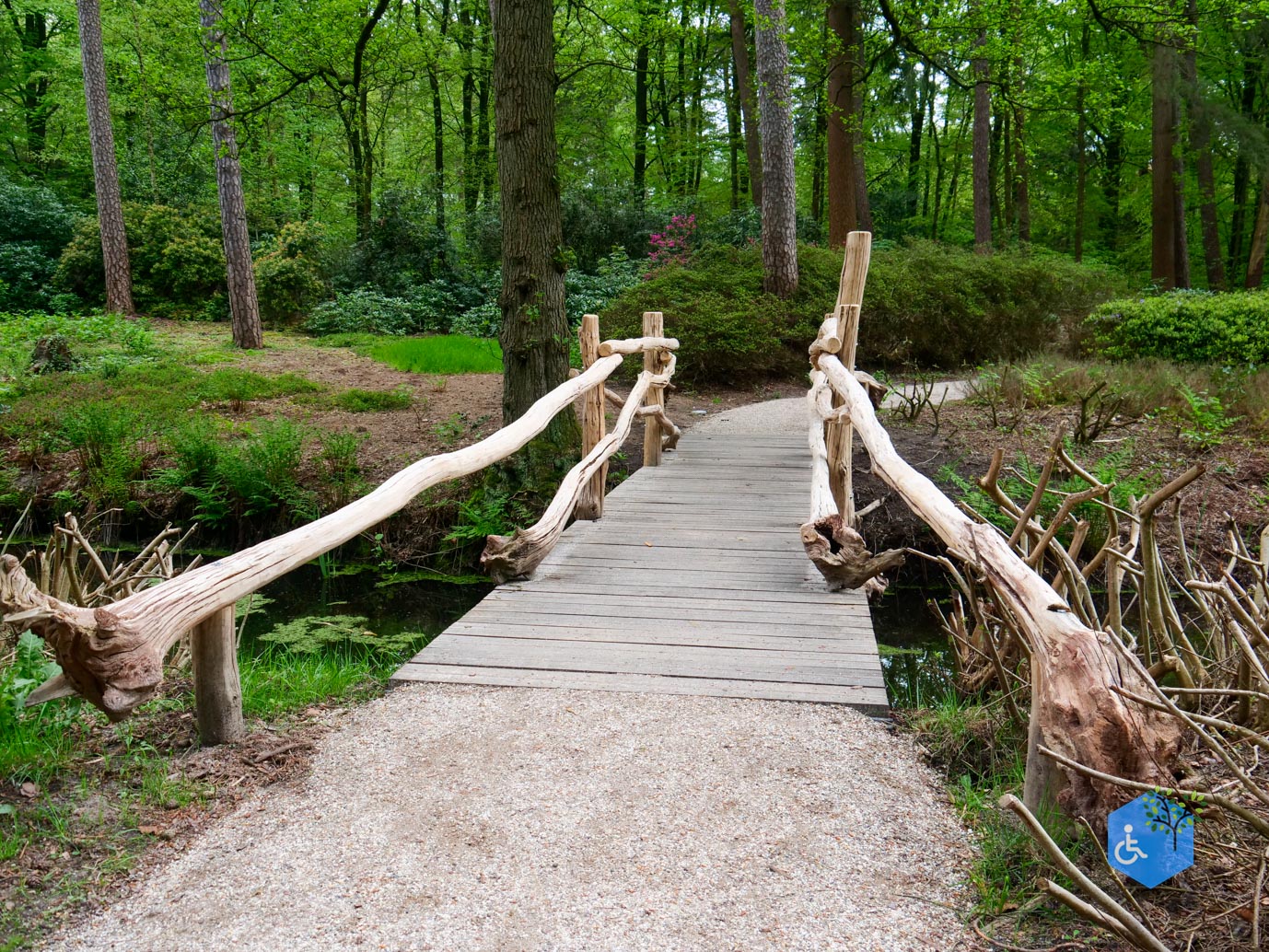 Driebergen_Heidetuin_07-05-2023-08