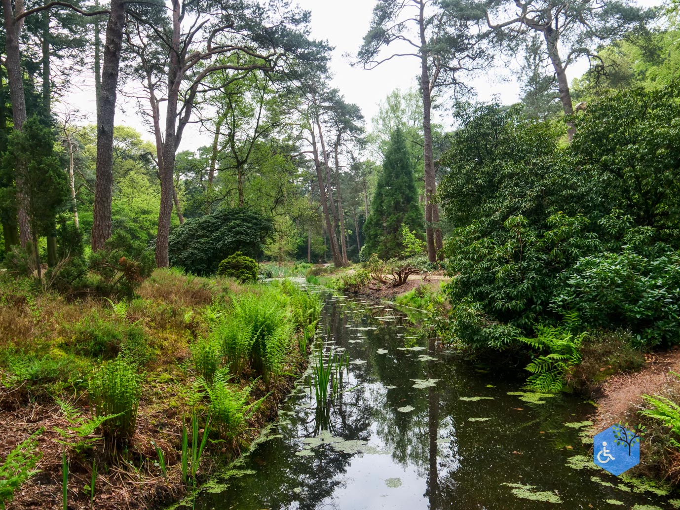 Driebergen_Heidetuin_07-05-2023-10