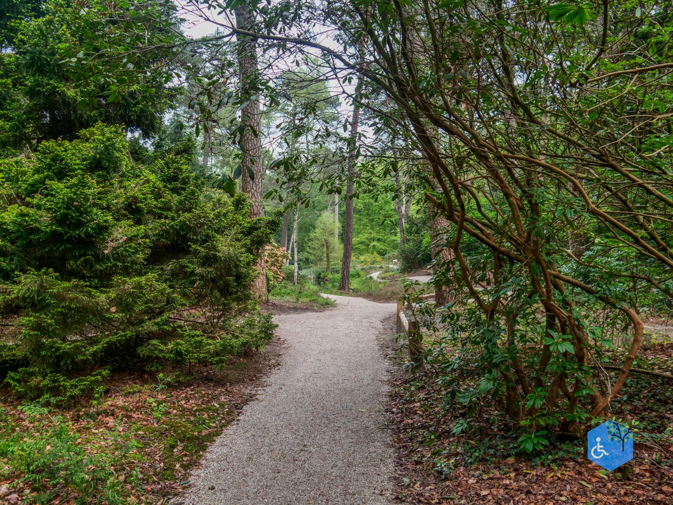 Driebergen_Heidetuin_07-05-2023-20