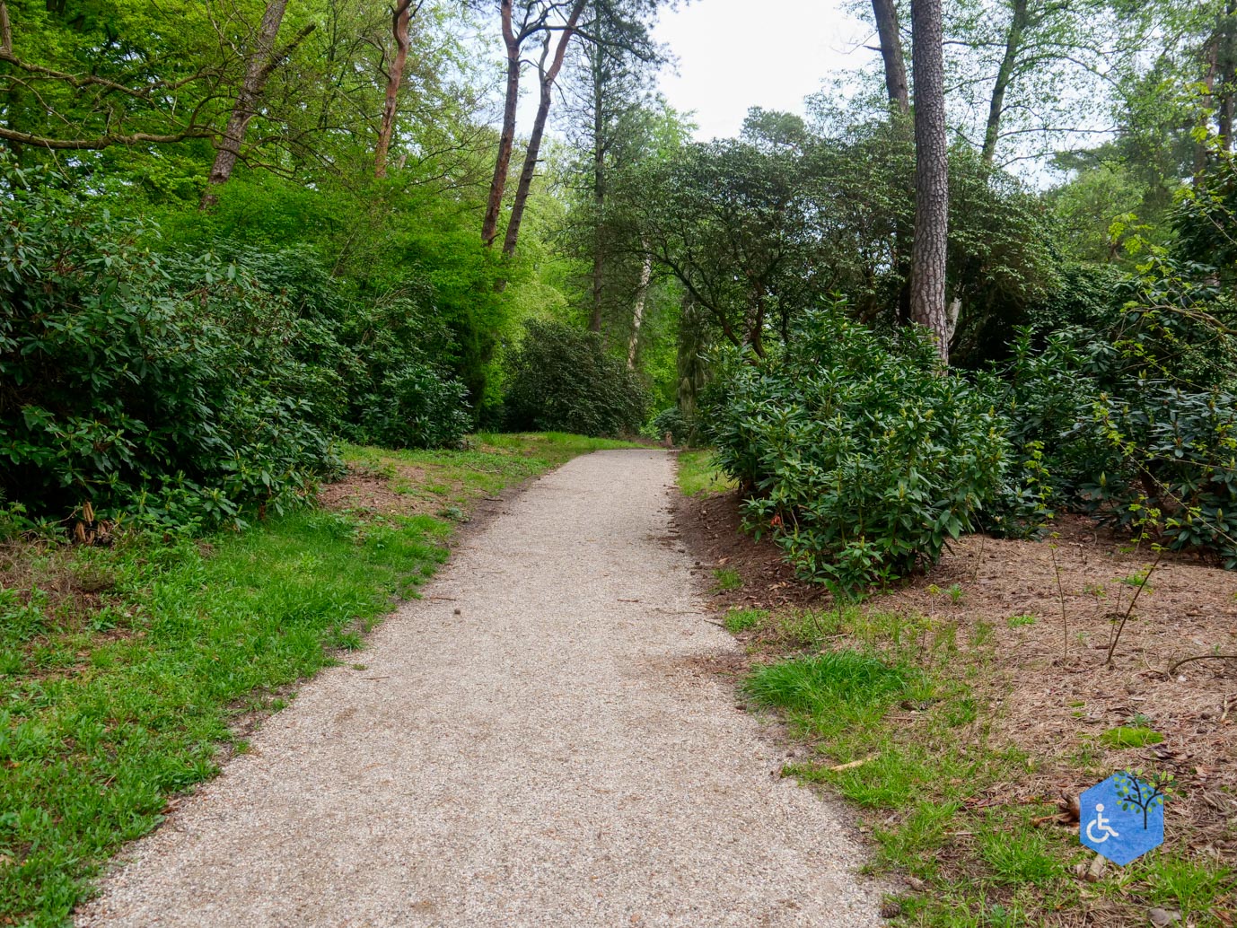 Driebergen_Heidetuin_07-05-2023-22