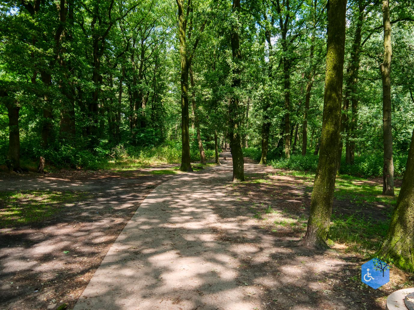 Udenhout_Uitkijkpunt_Bosch_en_Duin_23-06-2023-04