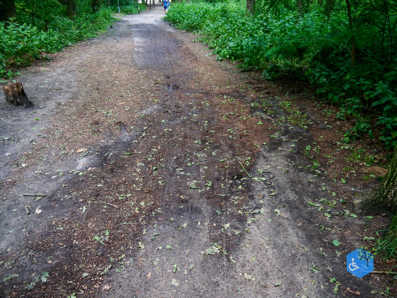 Udenhout_Uitkijkpunt_Bosch_en_Duin_23-06-2023-05
