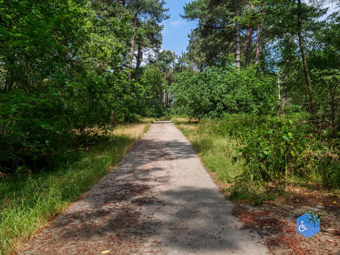 Udenhout_Uitkijkpunt_Bosch_en_Duin_23-06-2023-06
