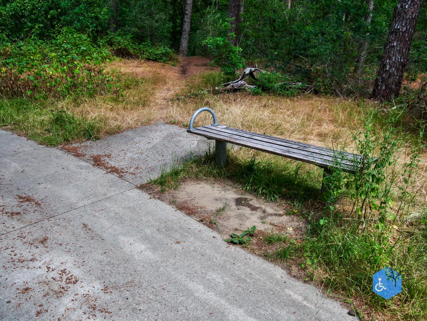 Udenhout_Uitkijkpunt_Bosch_en_Duin_23-06-2023-07