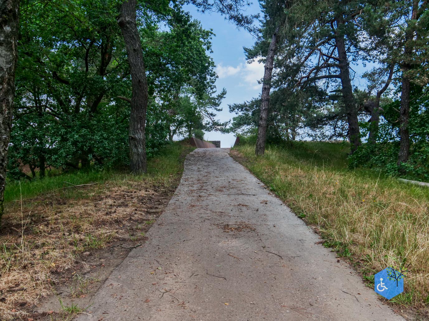 Udenhout_Uitkijkpunt_Bosch_en_Duin_23-06-2023-08