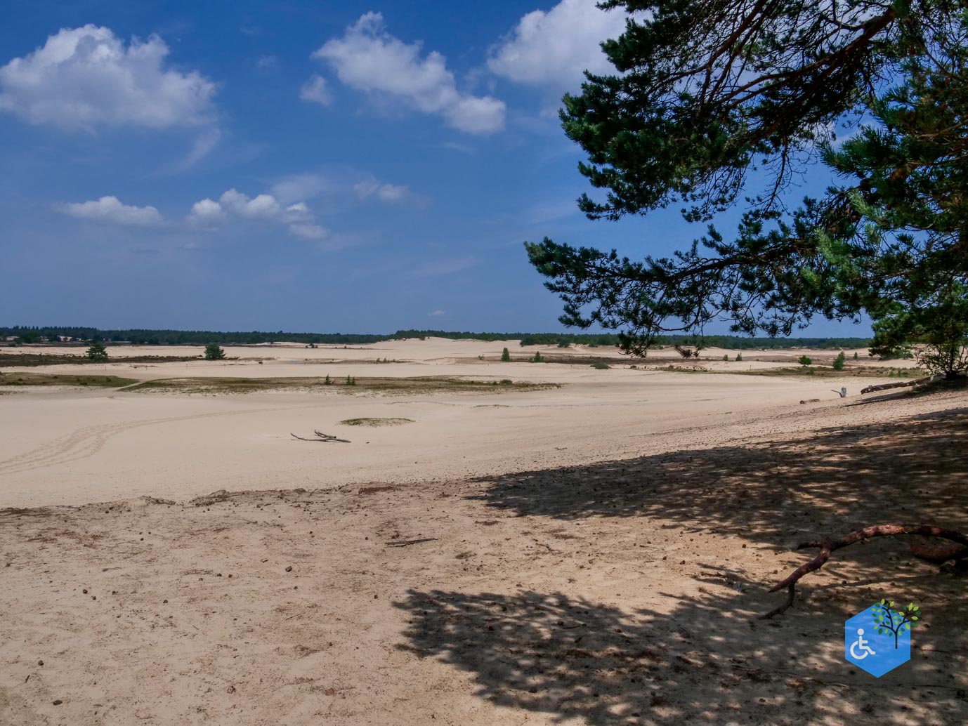 Udenhout_Uitkijkpunt_Bosch_en_Duin_23-06-2023-12