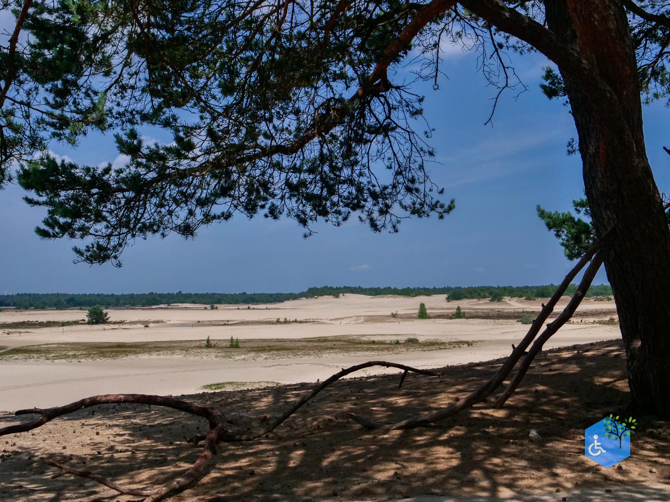 Udenhout_Uitkijkpunt_Bosch_en_Duin_23-06-2023-13