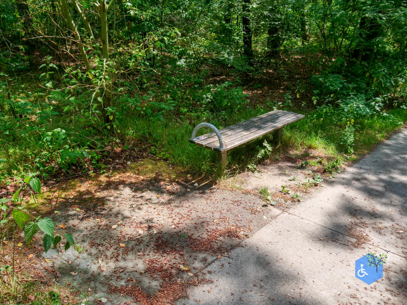 Udenhout_Uitkijkpunt_Bosch_en_Duin_23-06-2023-14