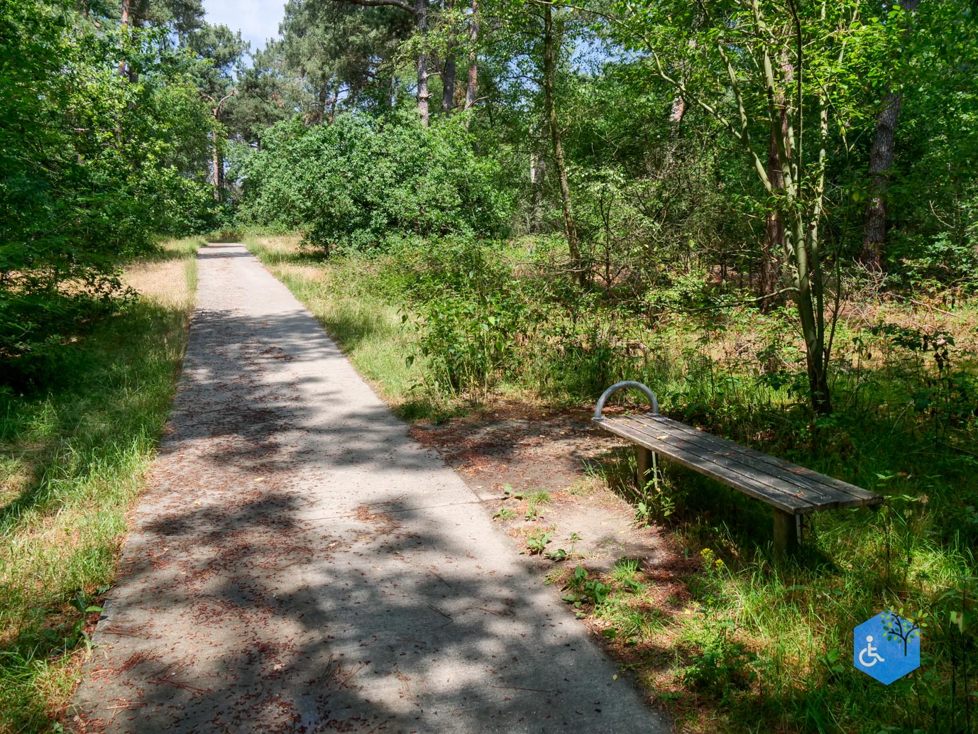 Udenhout_Uitkijkpunt_Bosch_en_Duin_23-06-2023-15