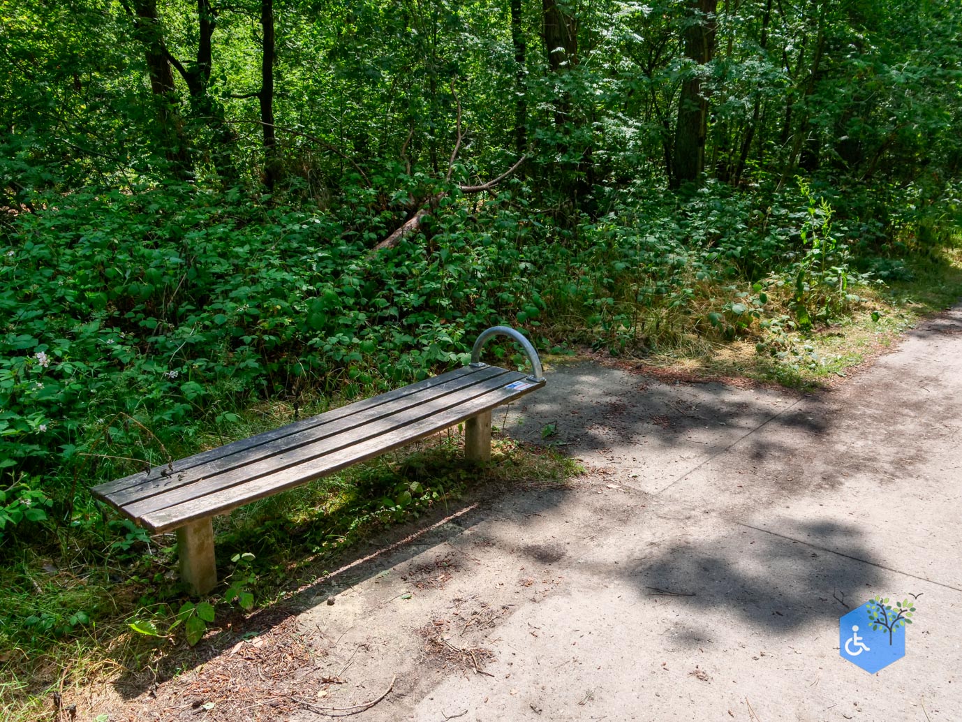 Udenhout_Uitkijkpunt_Bosch_en_Duin_23-06-2023-16