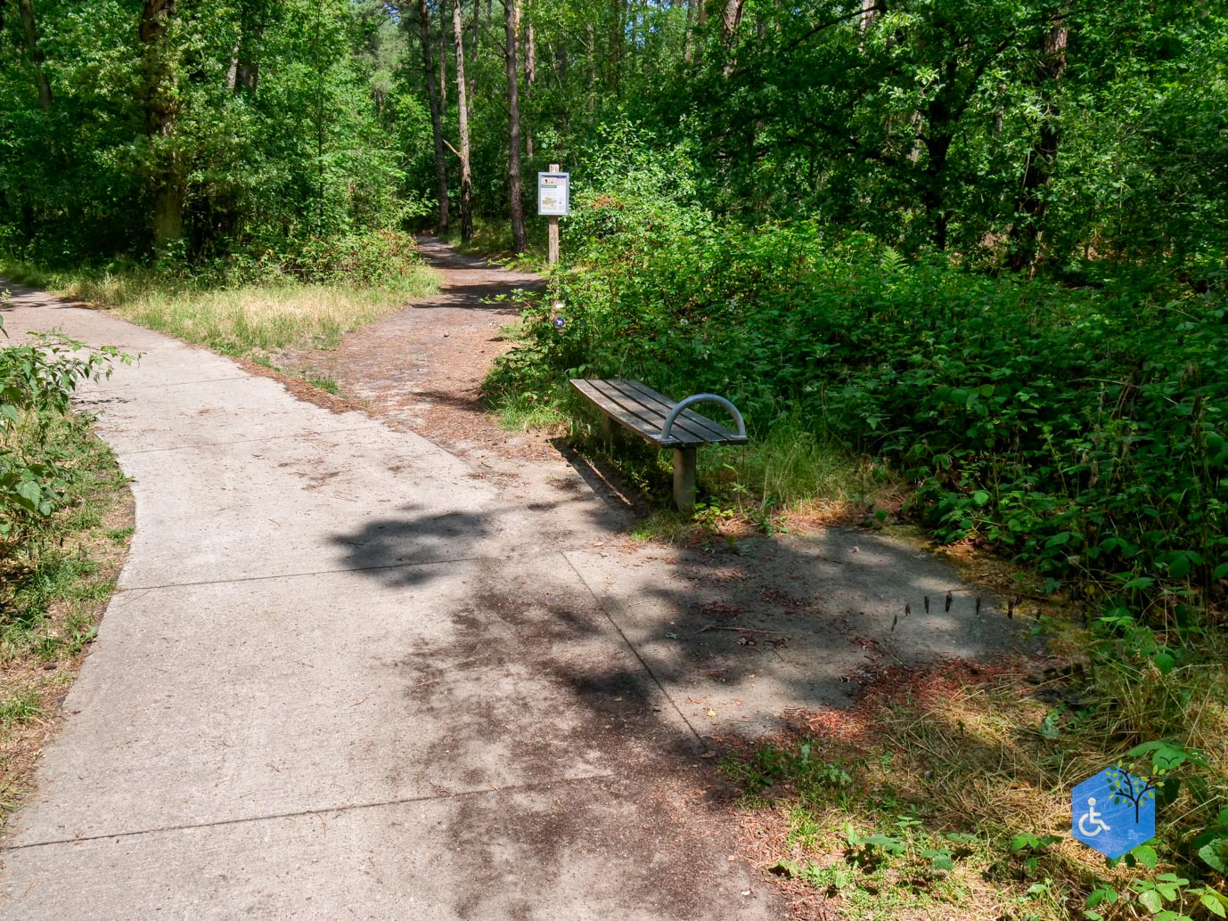 Udenhout_Uitkijkpunt_Bosch_en_Duin_23-06-2023-17