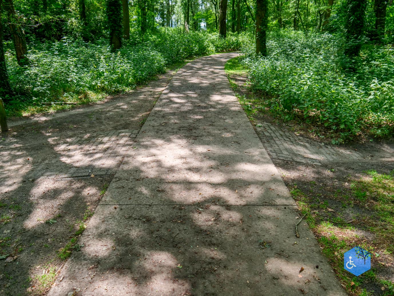Udenhout_Uitkijkpunt_Bosch_en_Duin_23-06-2023-18