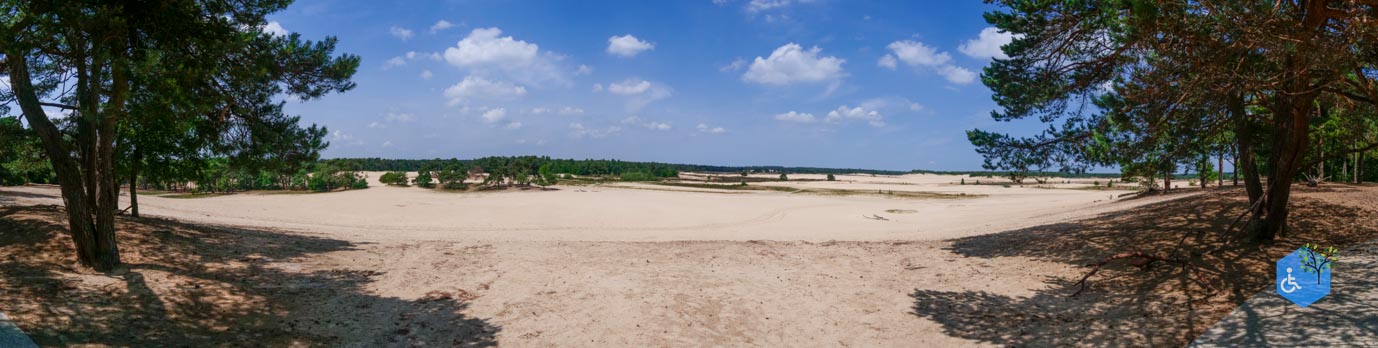 Udenhout_Uitkijkpunt_Bosch_en_Duin_23-06-2023-19