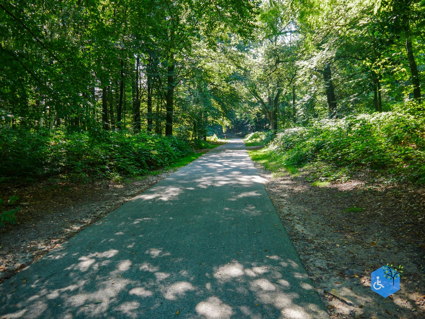Arnhem_Park_Sonsbeek_en_Zypendaal_08-09-2023-06