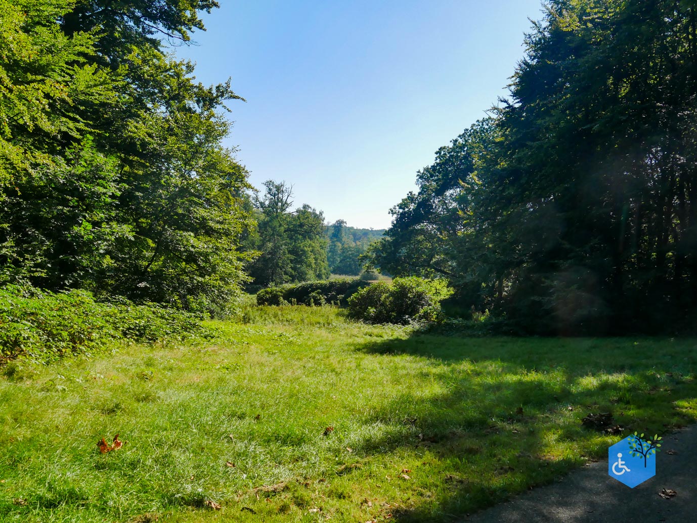 Arnhem_Park_Sonsbeek_en_Zypendaal_08-09-2023-07