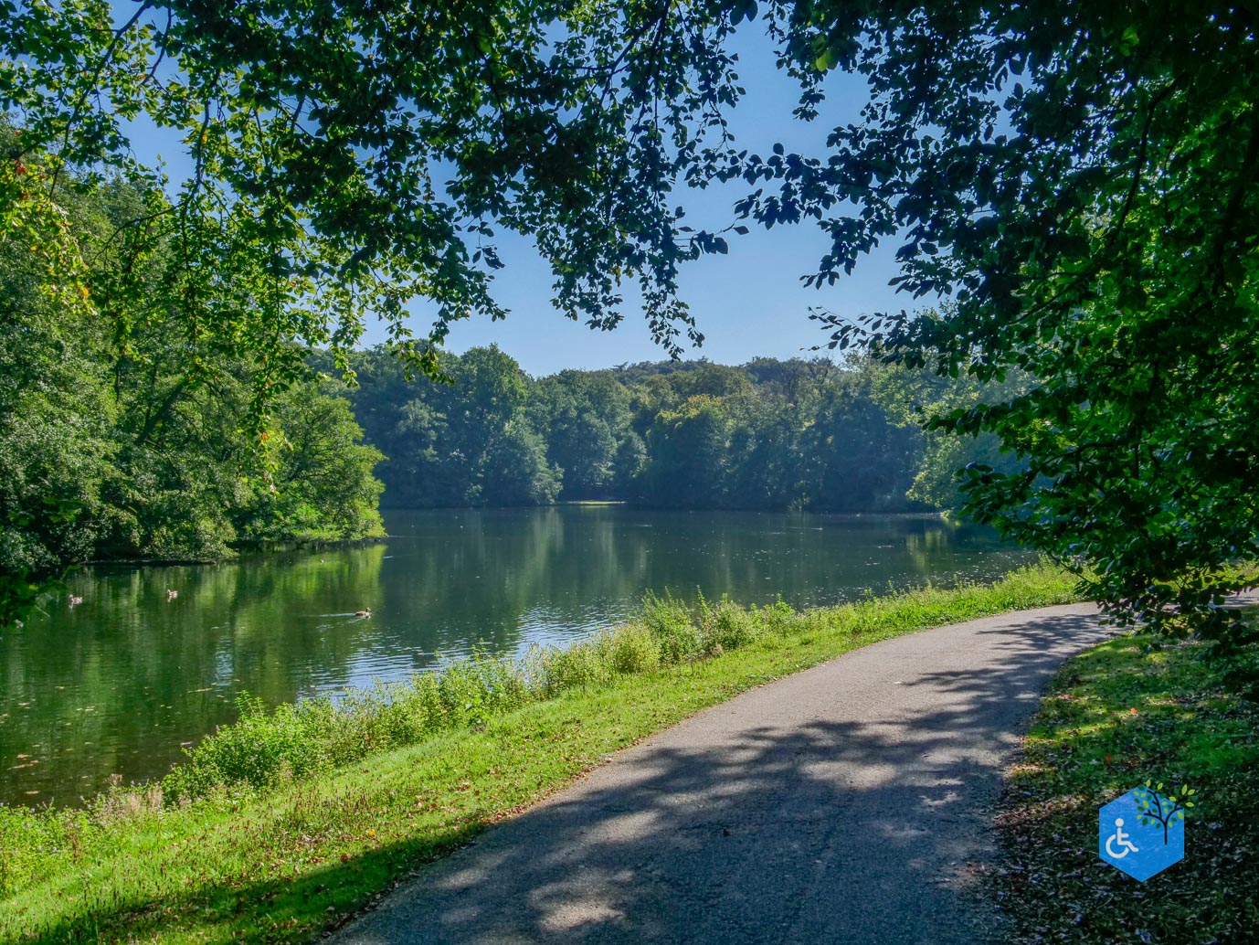 Arnhem_Park_Sonsbeek_en_Zypendaal_08-09-2023-11