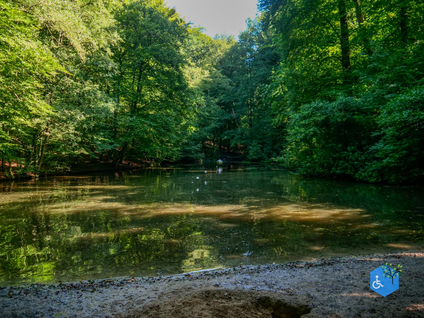 Arnhem_Park_Sonsbeek_en_Zypendaal_08-09-2023-33