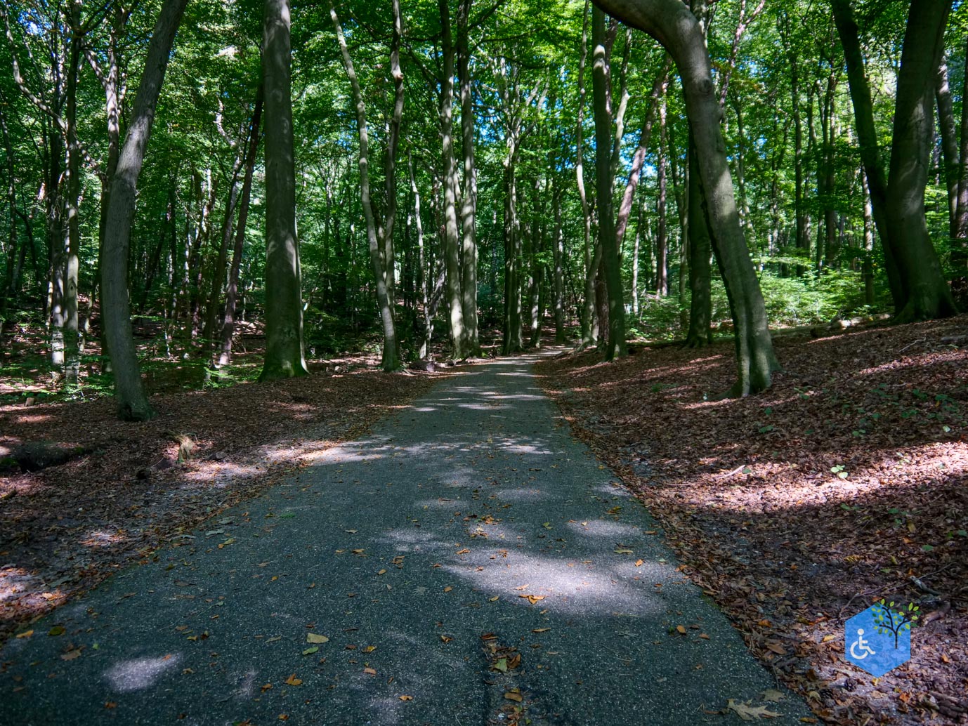 Arnhem_Park_Sonsbeek_en_Zypendaal_08-09-2023-40