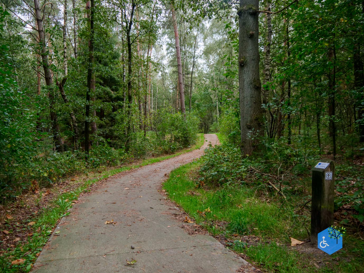 Dwingeloo_Familiepad_Noordenveld_06-10-2023-03