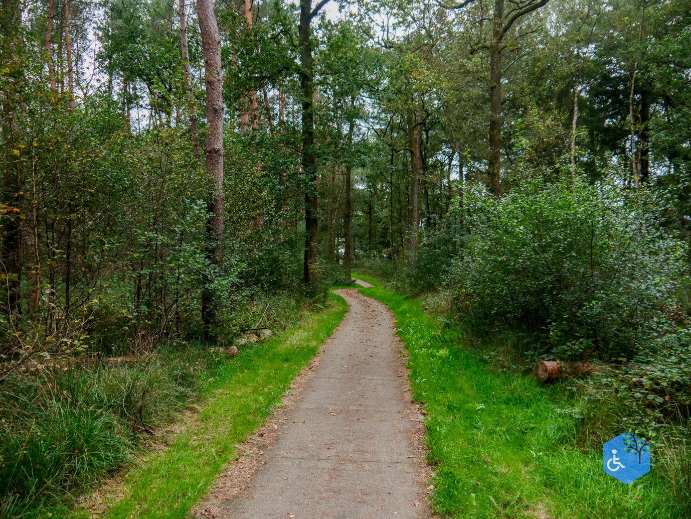 Dwingeloo_Familiepad_Noordenveld_06-10-2023-05