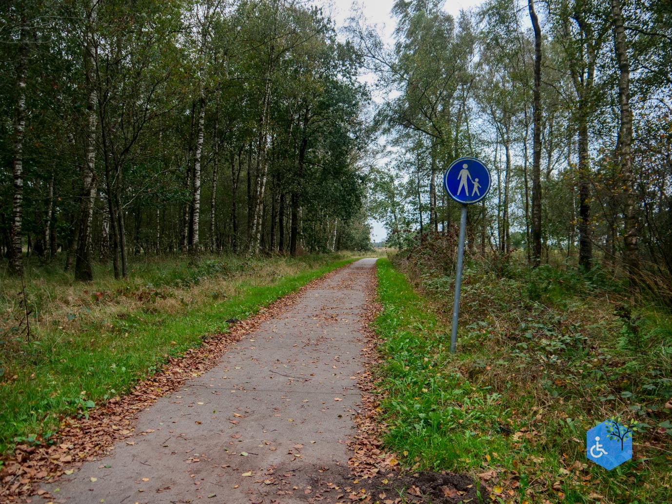 Dwingeloo_Familiepad_Noordenveld_06-10-2023-10