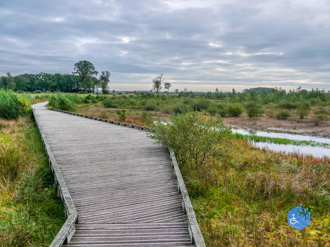 Dwingeloo_Familiepad_Noordenveld_06-10-2023-17