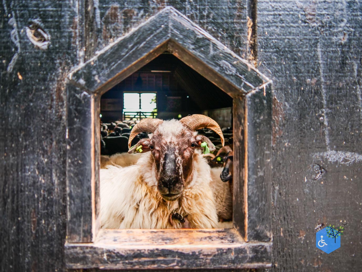 Dwingeloo_Familiepad_Noordenveld_06-10-2023-33