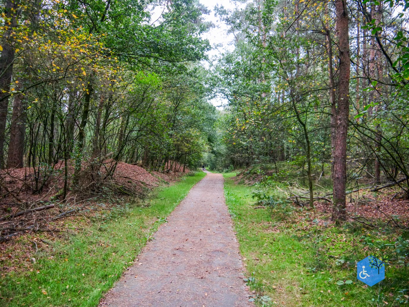 Dwingeloo_Familiepad_Noordenveld_06-10-2023-38