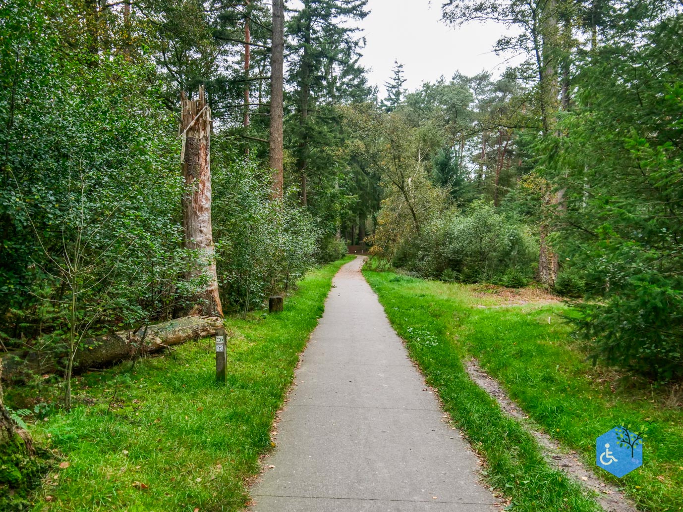 Dwingeloo_Familiepad_Noordenveld_06-10-2023-39