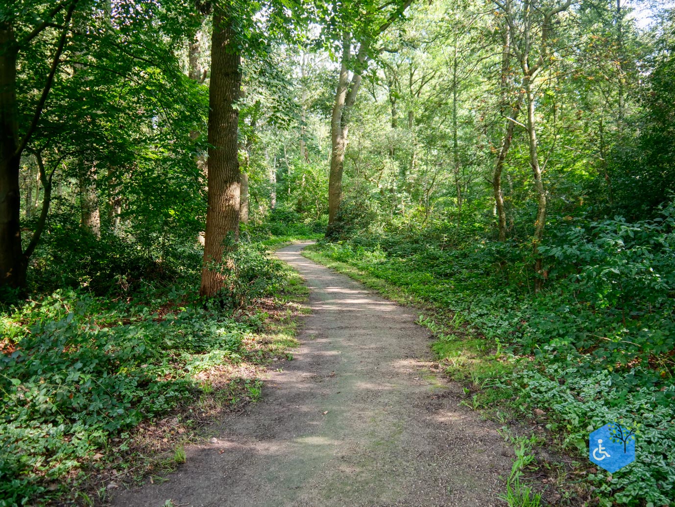 Fochteloo_Voormalige_kampen_Oranje_en_Ybenheer_18-09-2023wm-02