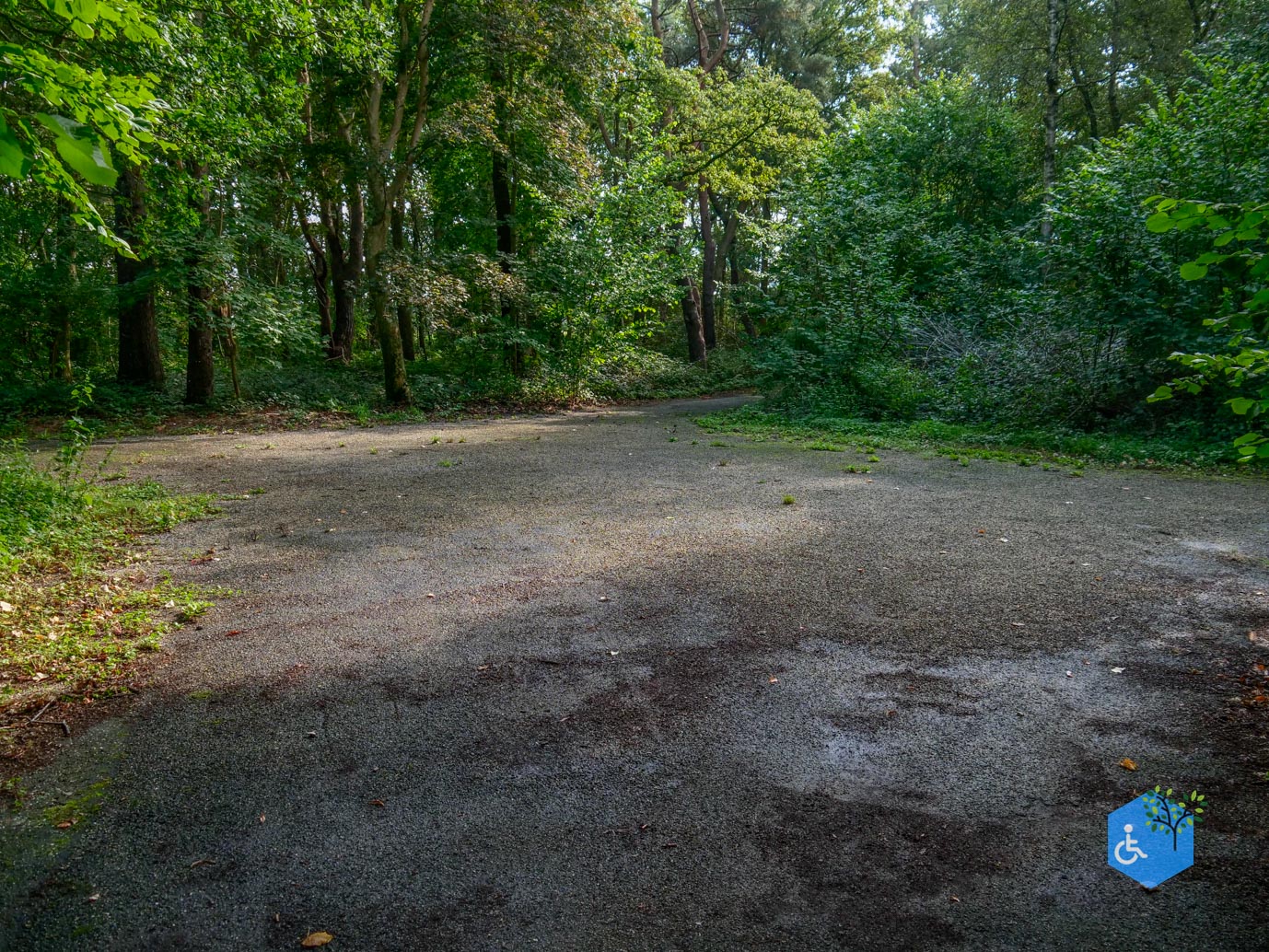 Fochteloo_Voormalige_kampen_Oranje_en_Ybenheer_18-09-2023wm-04