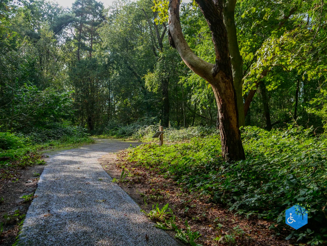 Fochteloo_Voormalige_kampen_Oranje_en_Ybenheer_18-09-2023wm-05