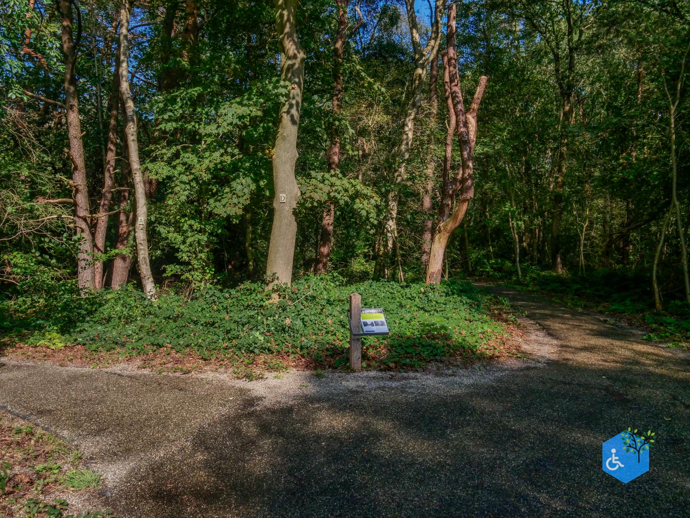 Fochteloo_Voormalige_kampen_Oranje_en_Ybenheer_18-09-2023wm-06