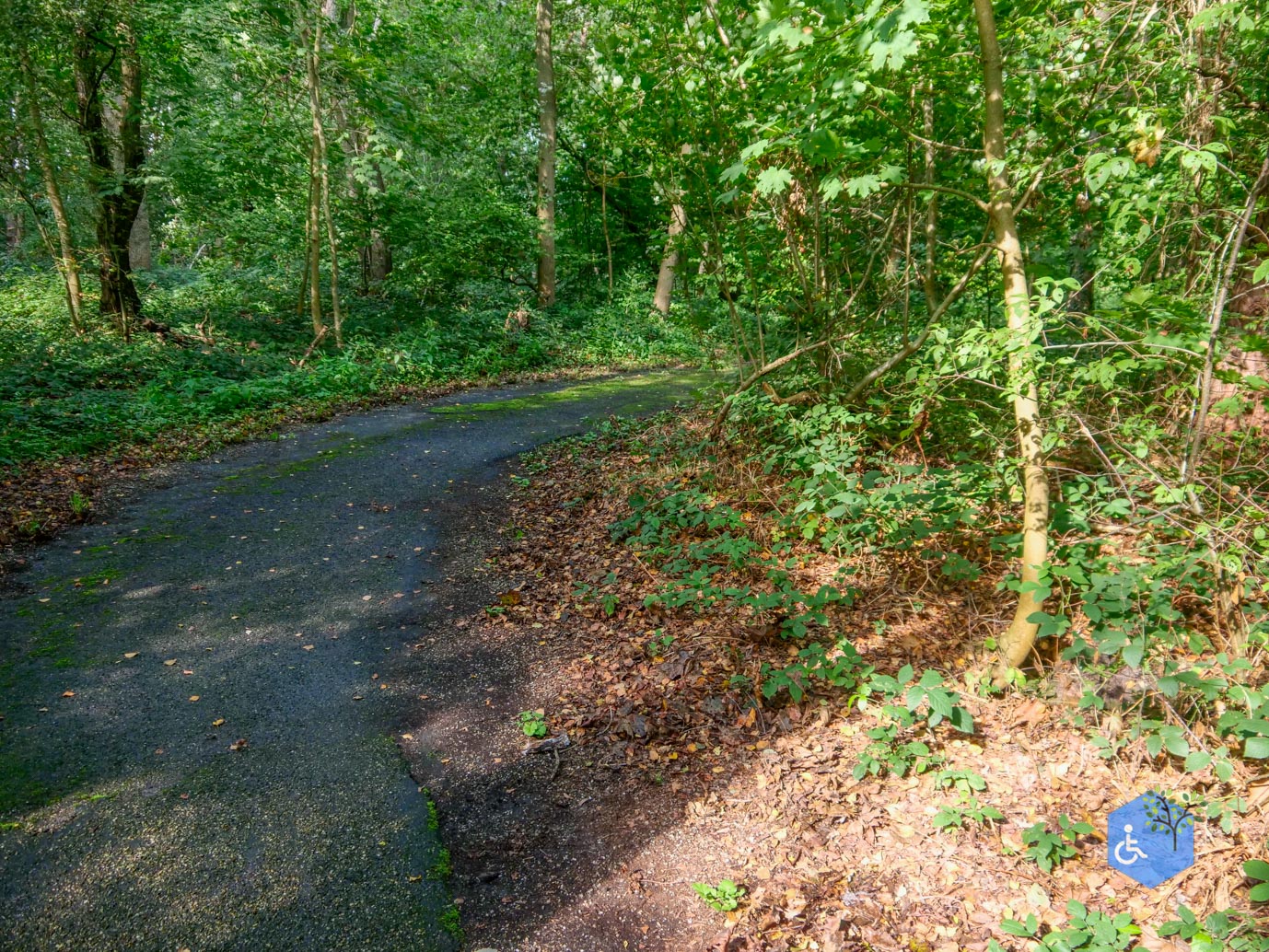 Fochteloo_Voormalige_kampen_Oranje_en_Ybenheer_18-09-2023wm-08