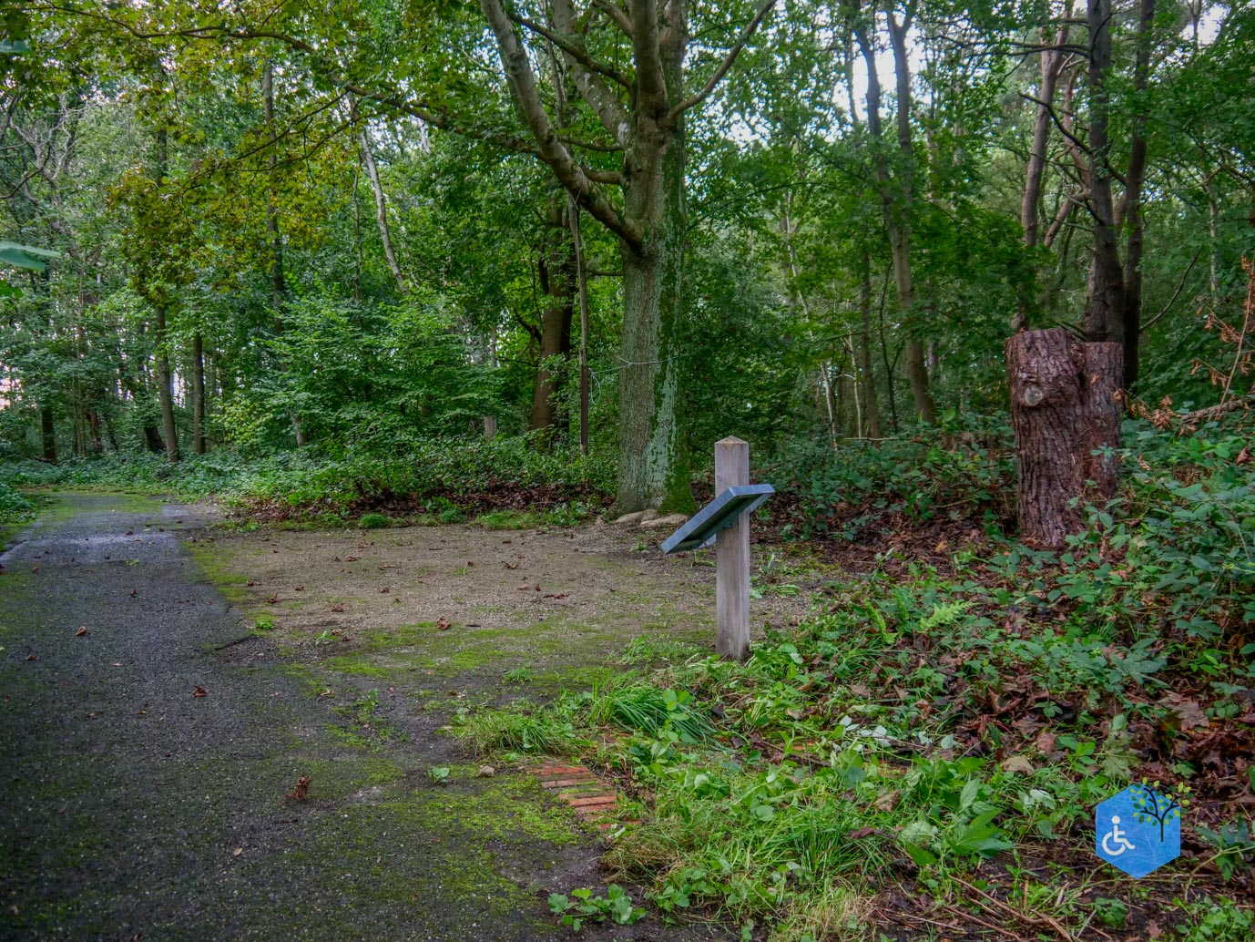 Fochteloo_Voormalige_kampen_Oranje_en_Ybenheer_18-09-2023wm-10