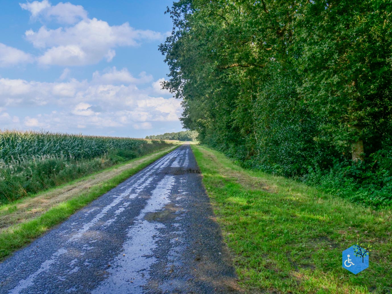 Fochteloo_Voormalige_kampen_Oranje_en_Ybenheer_18-09-2023wm-14