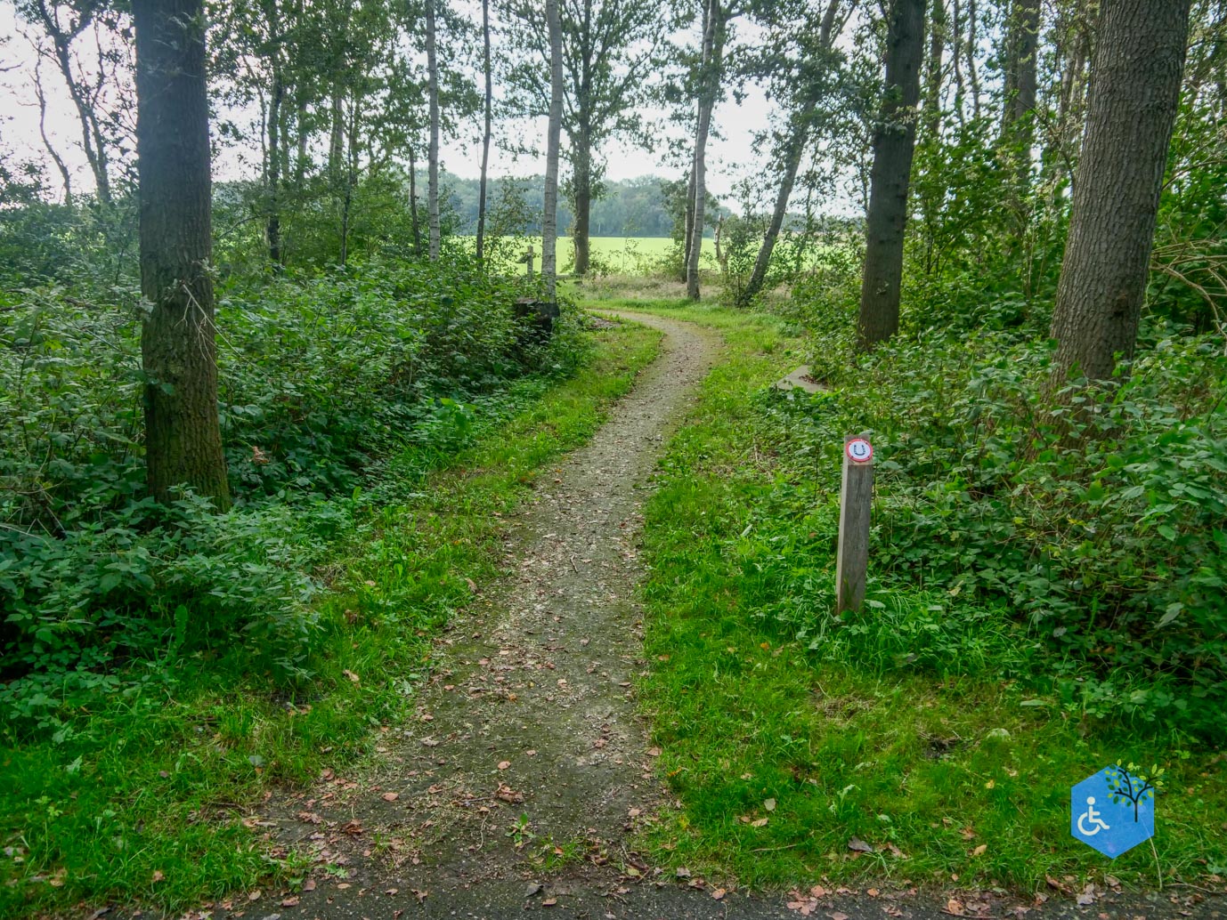 Fochteloo_Voormalige_kampen_Oranje_en_Ybenheer_18-09-2023wm-17