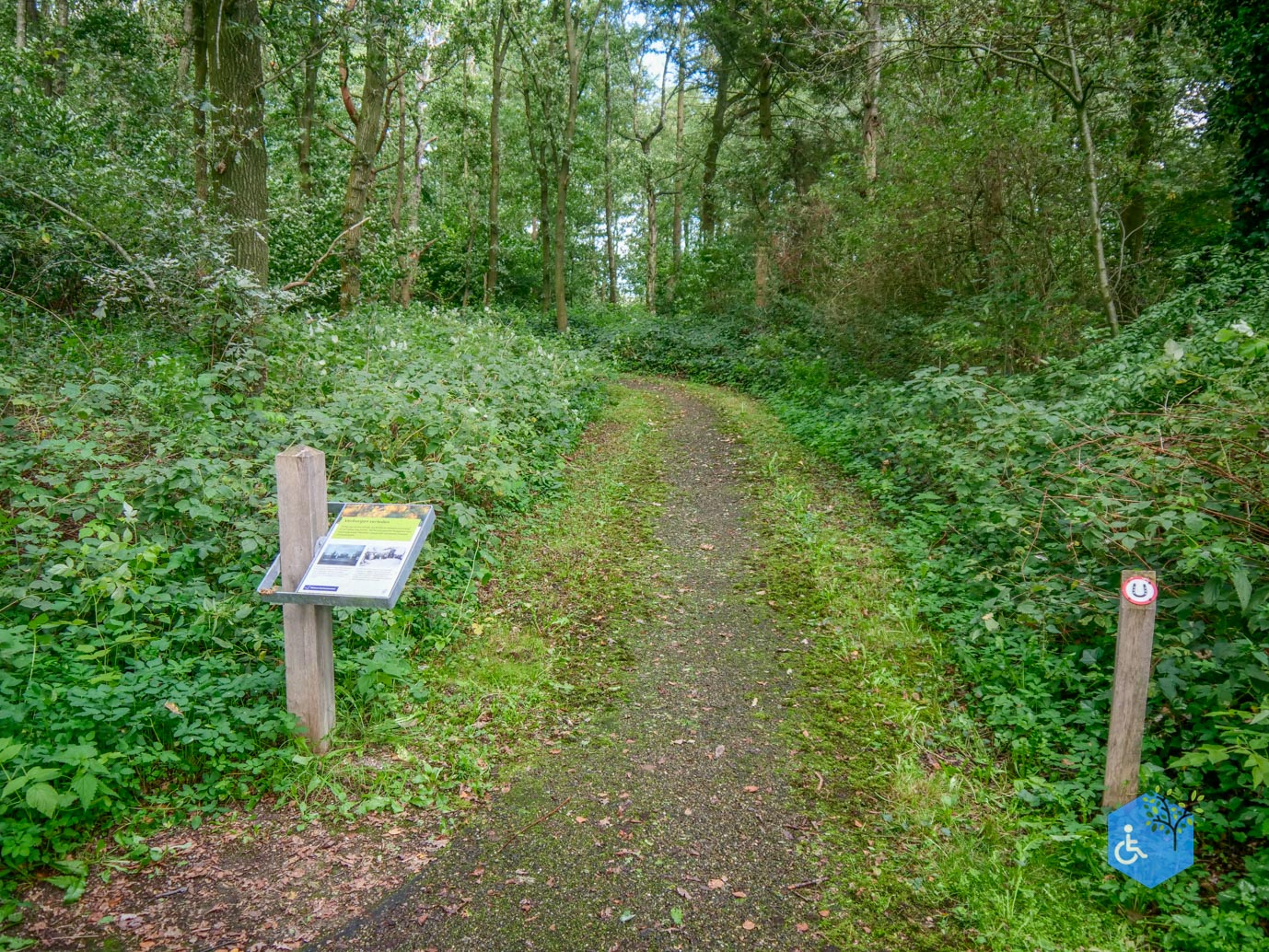 Fochteloo_Voormalige_kampen_Oranje_en_Ybenheer_18-09-2023wm-21
