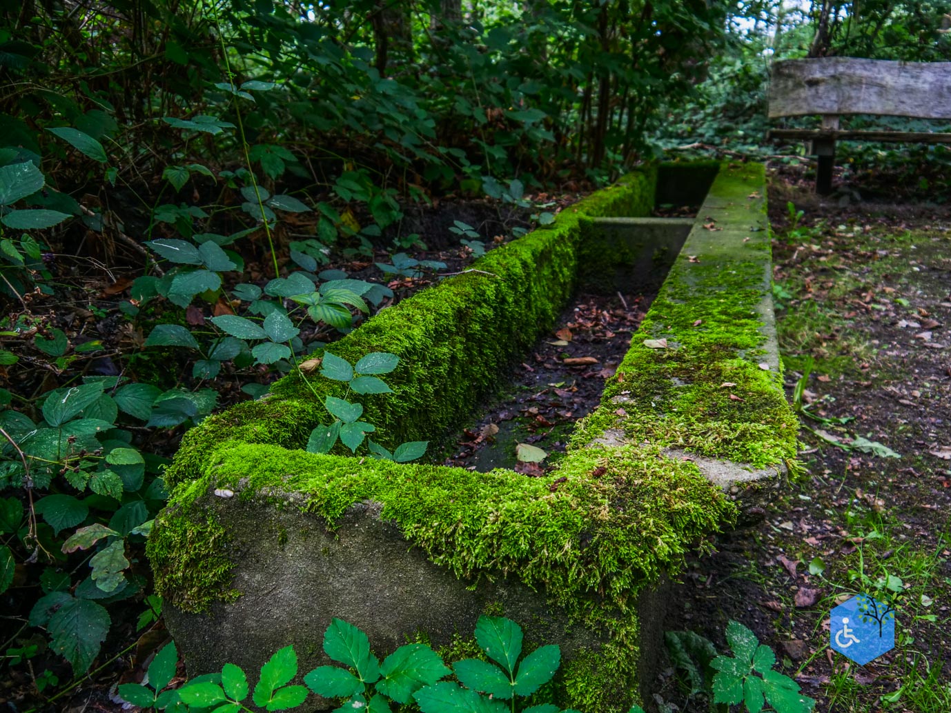 Fochteloo_Voormalige_kampen_Oranje_en_Ybenheer_18-09-2023wm-22