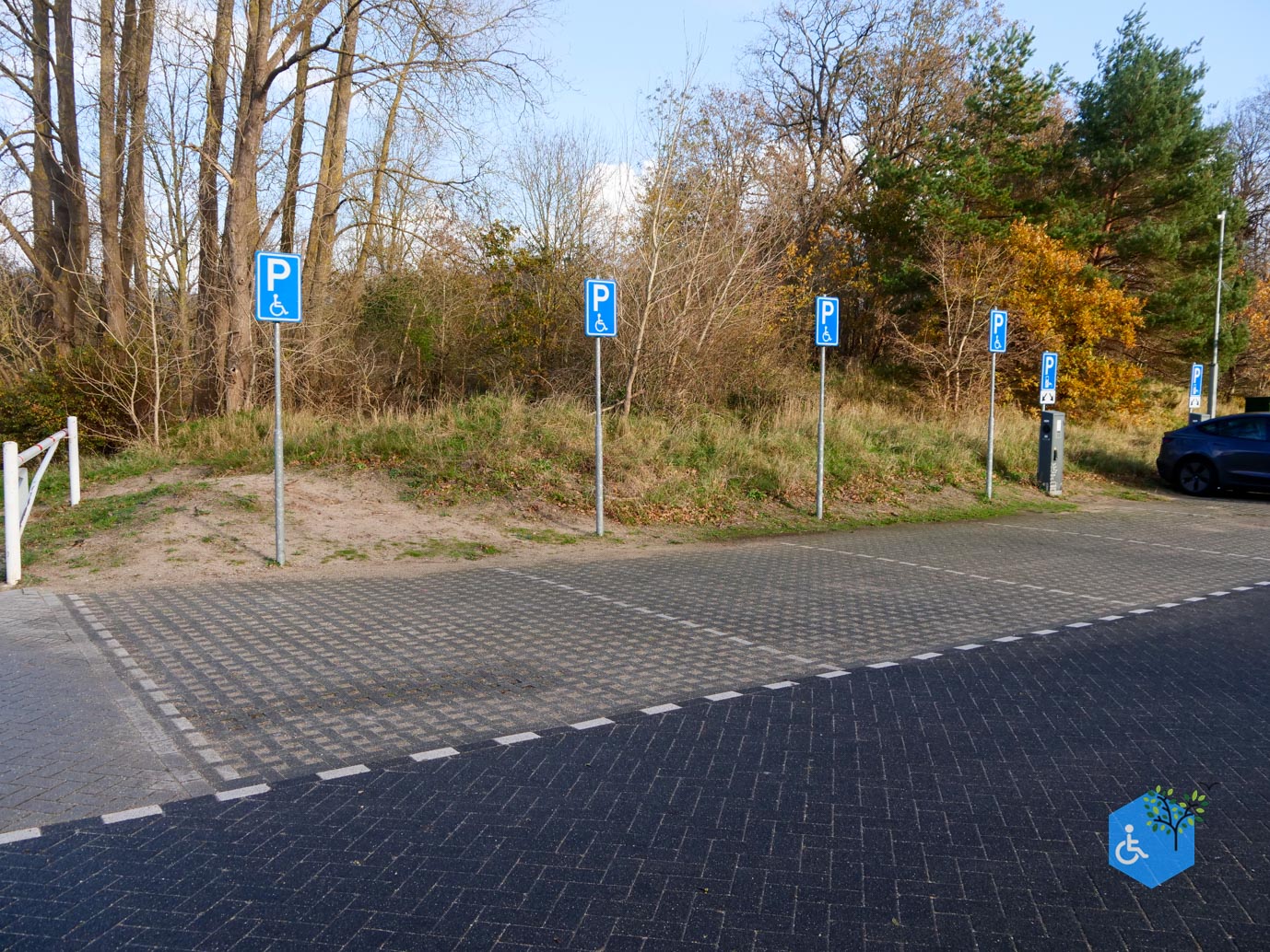 Overveen_Rolstoelwandeling_De_Kennemerduinen_24-11-2023-01