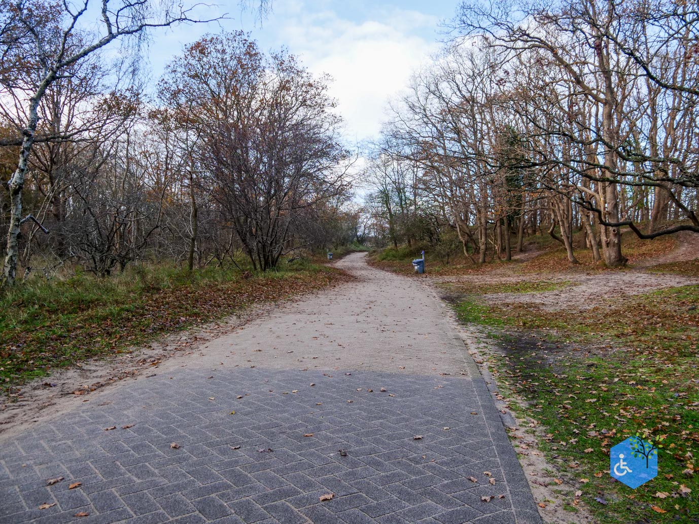 Overveen_Rolstoelwandeling_De_Kennemerduinen_24-11-2023-08