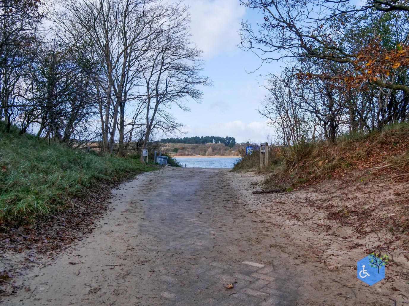 Overveen_Rolstoelwandeling_De_Kennemerduinen_24-11-2023-09